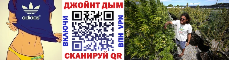APVP Рузаевка