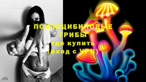 дживик Чердынь