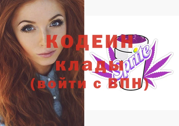 дживик Чердынь