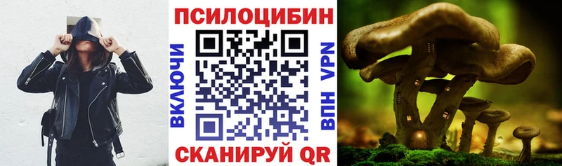 Галлюциногенные грибы Cubensis  Купить где  Рузаевка 